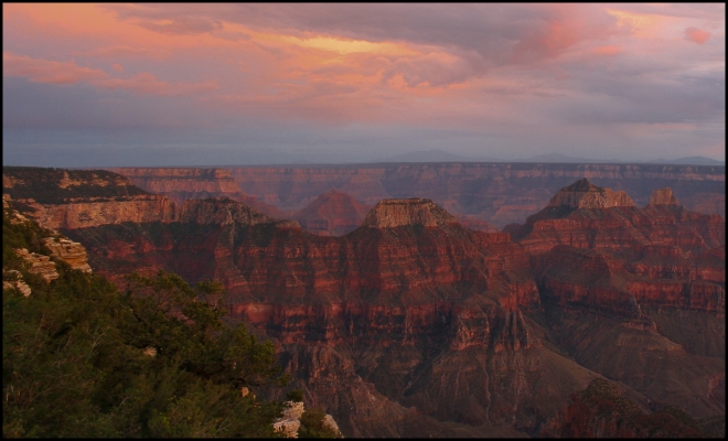 Grand Canyon National Park - North Rim, Arizona - USA